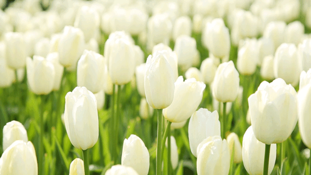 江西旅游打卡安全注意事項