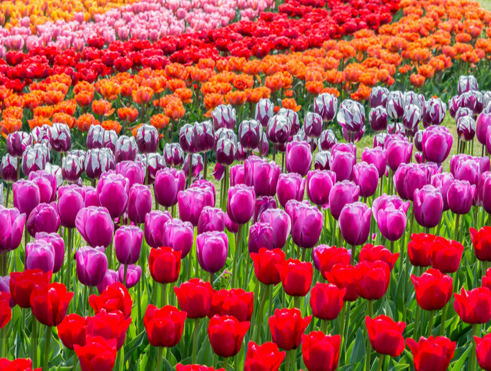 江西旅游打卡地有哪些呢?