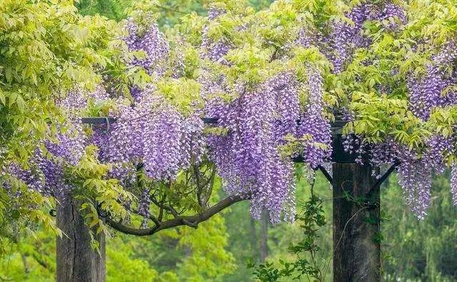 江西旅游打卡地南昌有哪些好玩的地方?
